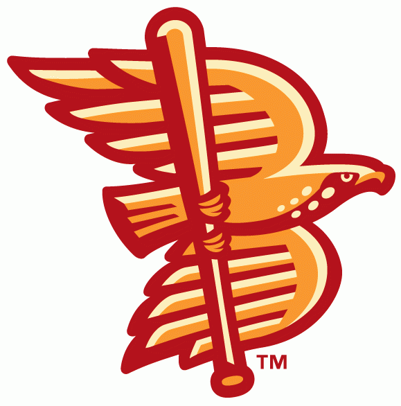 Boise Hawks 2007-Pres Alternate Logo iron on heat transfer